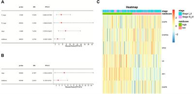 A Novel Pyroptosis-Related Gene Signature for Predicting Prognosis in Kidney Renal Papillary Cell Carcinoma